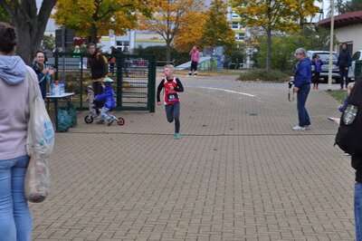 Foto des Albums: Schwedter Herbstlauf, 16.10.2022 (21.​10.​2022)