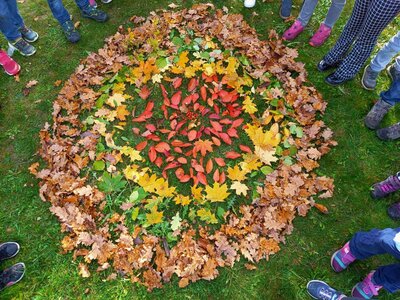 Foto des Albums: Bunte Herbstzeit