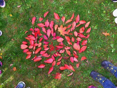 Foto des Albums: Bunte Herbstzeit