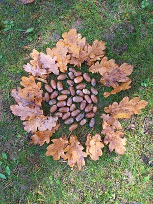 Foto des Albums: Bunte Herbstzeit