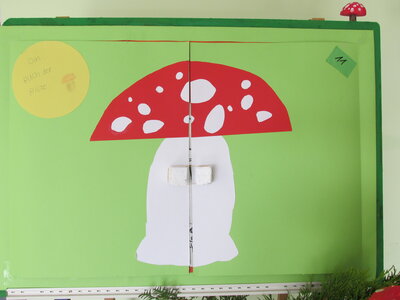 Foto des Albums: Achtung! Pilze überall ...