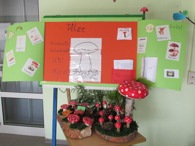 Foto des Albums: Achtung! Pilze überall ...
