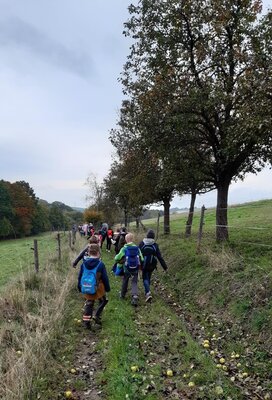 Foto des Albums: Wandern