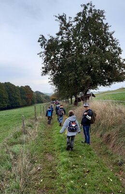 Foto des Albums: Wandern