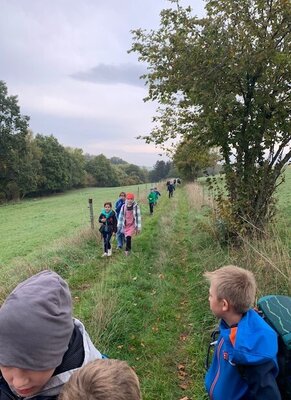 Foto des Albums: Wandern