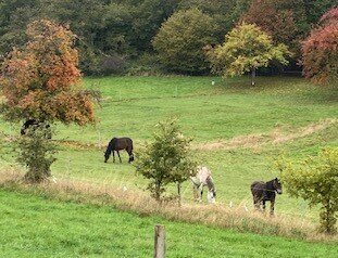 Foto des Albums: Wandern