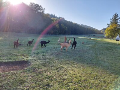 Foto des Albums: Wandern