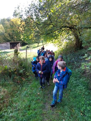 Foto des Albums: Wandern