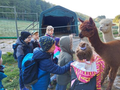 Foto des Albums: Wandern