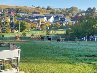 Foto des Albums: Wandern