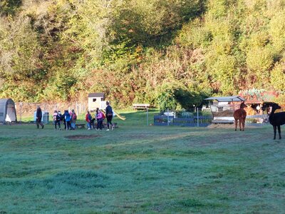 Foto des Albums: Wandern