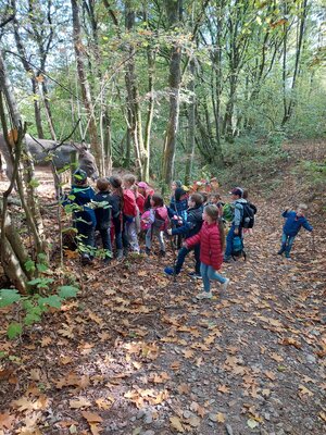 Foto des Albums: Wandern