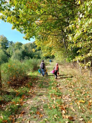 Foto des Albums: Wandern