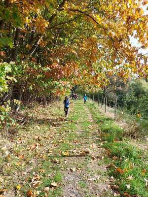 Foto des Albums: Wandern