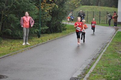 Foto des Albums: Schönower Herbstcross