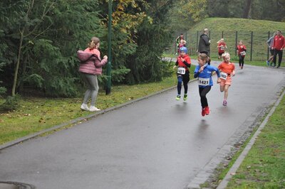 Foto des Albums: Schönower Herbstcross
