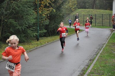 Foto des Albums: Schönower Herbstcross