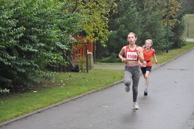 Foto des Albums: Schönower Herbstcross