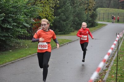 Foto des Albums: Schönower Herbstcross