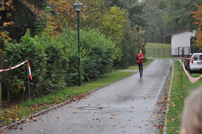Foto des Albums: Schönower Herbstcross