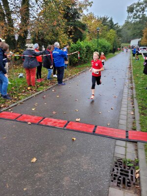 Foto des Albums: Schönower Herbstcross