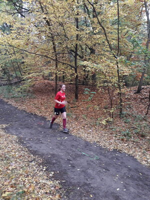 Foto des Albums: Torgelower Crosslauf