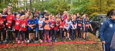 Foto des Albums: Torgelower Crosslauf
