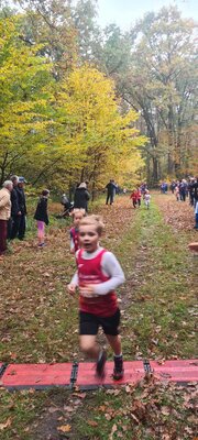 Foto des Albums: Torgelower Crosslauf