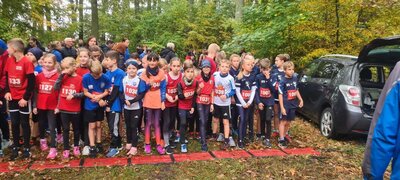 Foto des Albums: Torgelower Crosslauf