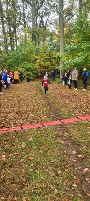 Foto des Albums: Torgelower Crosslauf