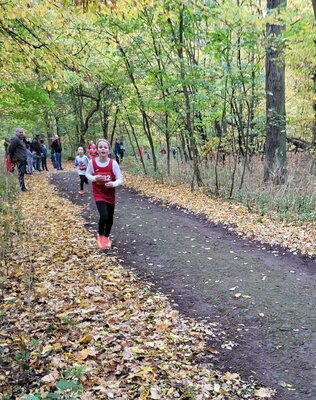 Foto des Albums: Torgelower Crosslauf