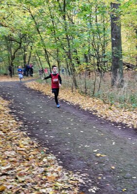 Foto des Albums: Torgelower Crosslauf