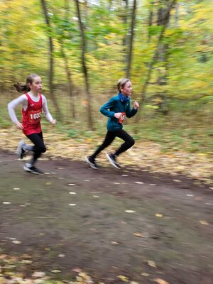 Foto des Albums: Torgelower Crosslauf