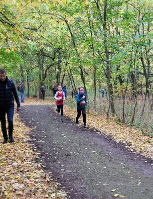 Foto des Albums: Torgelower Crosslauf