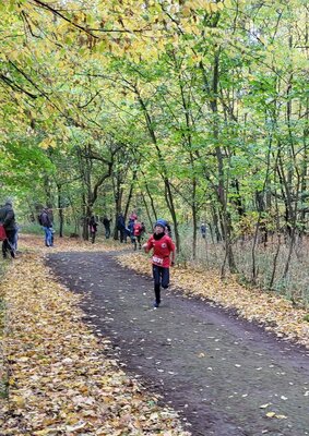 Foto des Albums: Torgelower Crosslauf