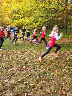 Foto des Albums: Torgelower Crosslauf