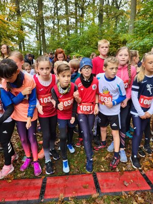 Foto des Albums: Torgelower Crosslauf