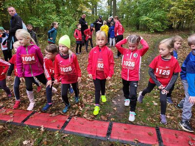 Foto des Albums: Torgelower Crosslauf