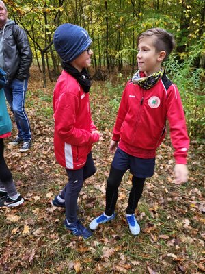 Foto des Albums: Torgelower Crosslauf