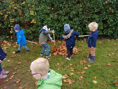 Foto des Albums: Herbsttage