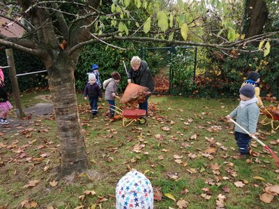 Foto des Albums: Herbsttage