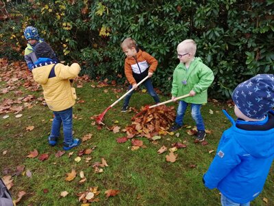 Foto des Albums: Herbsttage