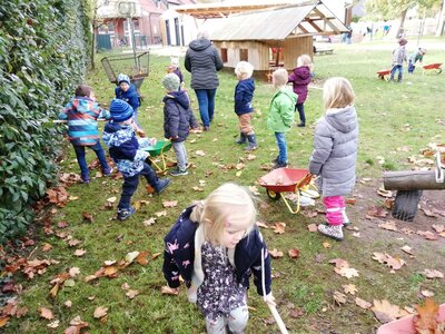 Foto des Albums: Herbsttage