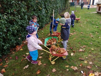Foto des Albums: Herbsttage