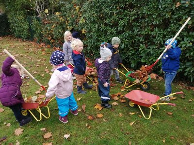 Foto des Albums: Herbsttage