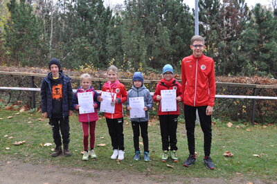 Foto des Albums: LM Crosslauf Berlin, 13.11.2022 (18.​11.​2022)