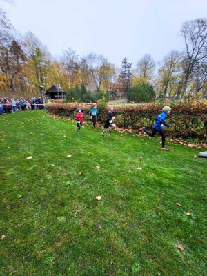 Foto des Albums: LM Crosslauf Berlin, 13.11.2022 (18.​11.​2022)