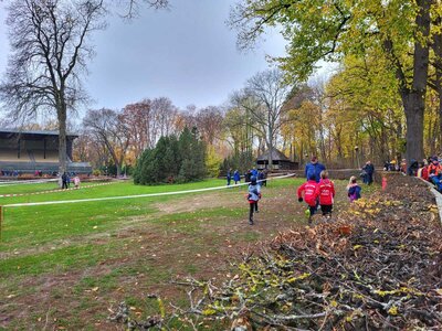 Foto des Albums: LM Crosslauf Berlin, 13.11.2022 (18.​11.​2022)