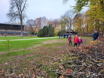Foto des Albums: LM Crosslauf Berlin, 13.11.2022