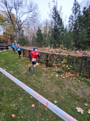 Foto des Albums: LM Crosslauf Berlin, 13.11.2022
